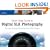 Quick Snap Guide to Digital SLR Photography: An Instant Start-Up Manual for New dSLR Owners