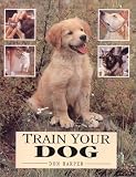 Train Your Dog