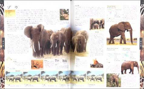 Cover image : 世界動物大図鑑―ANIMAL DKブックシリーズ