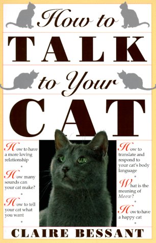 How to Talk to Your Cat