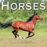 Horses 2009 Wall Calendar 12 X 12