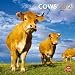 Cows 2012 Square 12X12 Wall Calendar