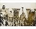 Photographic Prints of Opium Poppy pickers - near Afyon, Turkey from Mary Evans