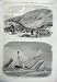 1865 Welsh Bards Vale Conway Sailing Ship Race Thames