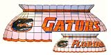 University of Florida Gators Pool Table Light