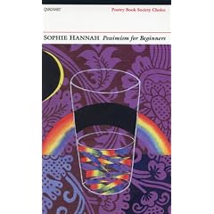 Pessimism for Beginners