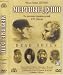 Dead Souls / Mertvye Dushi (DVD 2)