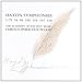 Haydn: Symphonies