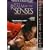 In the Realm of the Senses