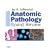 Anatomic Pathology Board Review