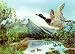 3D Lenticular Picture / Poster 10.5" X 13.5" - FLYING DUCK ON THE LAKE