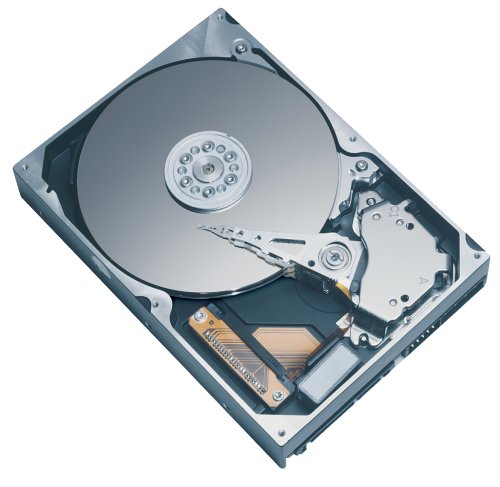 Maxtor DiamondMax Plus 60GB Pull 6Y060L0