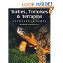 Turtles, Tortoises and Terrapins: Survivors in Armor