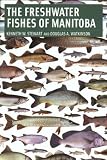 Freshwater Fishes Of Manitoba