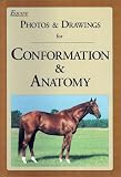 View Book 'Equine Photos & Drawings for Conformation & Anatomy'
