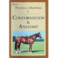 Equine Photos and Drawings for Conformation and Anatomy by  Juliet Hedge, Staff Equine Research Inc., and Sherrie Engler