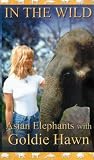 In The Wild - Asian Elephants With Goldie Hawn [1998]