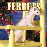 Ferrets 2006 Calendar
