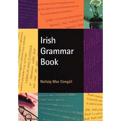 Irish Grammar Book