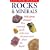 Rocks and Minerals (Collins Wild Guide)