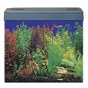 SeaClear Eclipse 3 Compatible Aquarium
