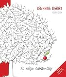 Beginning Algebra, 4th Edition