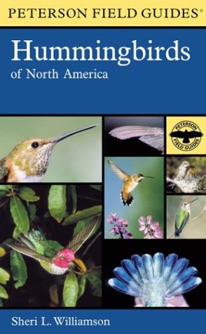 North America