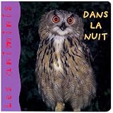 Dans la nuit