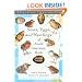 A Guide to the Nests, Eggs, and Nestlings of North American Birds (Princeton Field Guides)
