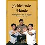 Schiebende H�nde: Die k�mpferische Seite des Taijiquan