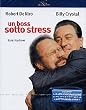 Un Boss Sotto Stress
