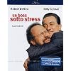 Un Boss Sotto Stress