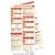 Echocardiography Pocketcard Set