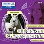 Geheimnisvolle Reiterin - Die R�ckkehr der Mondpriesterin, 4 Audio-CDs