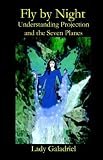 cover of Fly by Night Understanding Projection and the Seven Planes