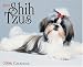 Book Just Shih Tzus 2006 16-Month Wall Calendar
