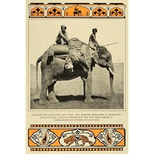 1911 Print Man Eating Tiger Hunting India Elephants Poaching Wildlife