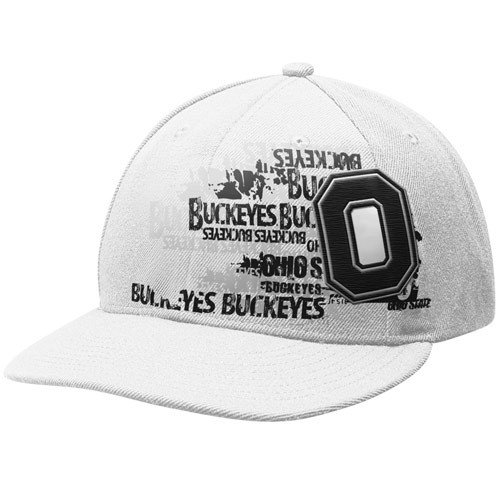 Nike Ohio State Buckeyes White