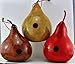 Gourd Birdhouse in Red, Natural Garden Decor, Bird House Gifts, 1 1/2