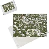 Photo Jigsaw Puzzle of Daisies. Meadow Flowers, Devon Field from Specialist Stock