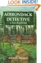 Adirondack Detective: A New Beginning