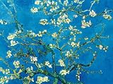 Van Gogh, Vincent Branch of an almond tree Kunstdruck