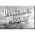 Romantic Adventure on the High Seas: Dangerous Passage (1944) [DVD] Starring Robert Lowry, Phyllis Brooks, Charles Arnt, Jack La Rue, John Eldredge, Victor Kilian, Alec Craig, William Edmunds, and Will Wright.