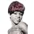 The Lost Supreme: The Life of Dreamgirl Florence Ballard