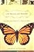Image of An Obsession With Butterflies: Our Long Love Affair With A Singular Insect