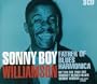 Father of Blues Harmonica