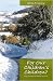 Here For Our Children's Children?: Why We Should Care for the Earth (Societas) at Amazon Books: 51P6tx0LtlL._SL75_