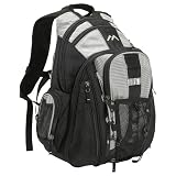 Brenthaven Expandable Trek Laptop Backpack