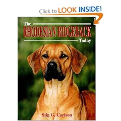 The Rhodesian Ridgeback Today