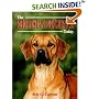 The Rhodesian Ridgeback Today
